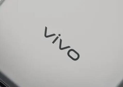 VivoֱĿɱԲ ֲ̫ˣ